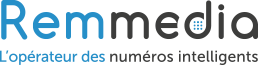 Remmedia Report